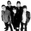 Oasis