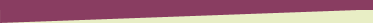 bottom_newsletter